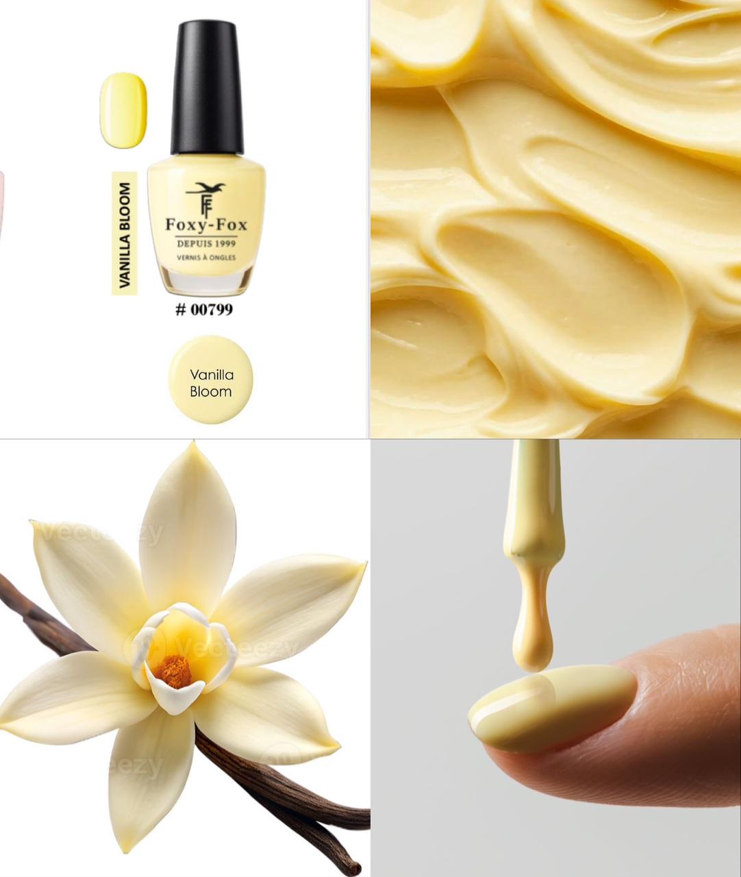 Foxy-Fox Vanilla Bloom Ref : 799